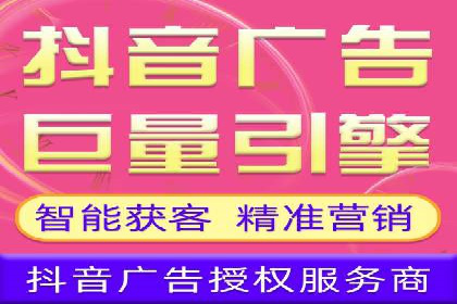 某大型企业选择SEM竞价代运营公司的决策过程与效果评估